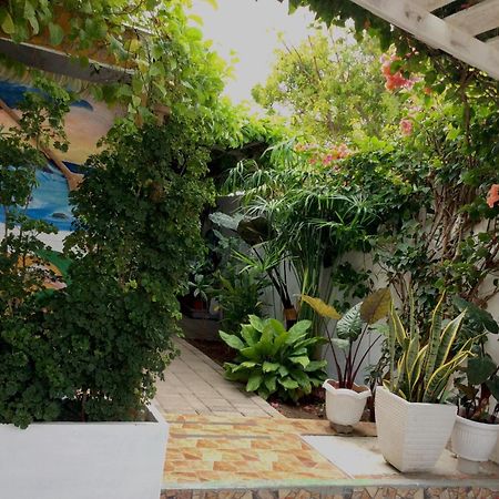 Gardenia House Rent Rooms Санта-Фе Екстер'єр фото